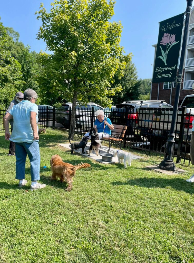 Senior resident at the dog park bench with their pets