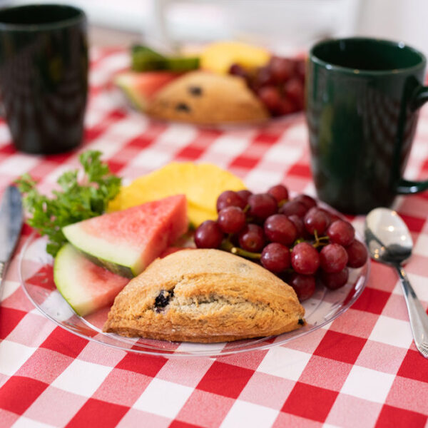 Sample plate of fruit and scones with coffee served at the cafe